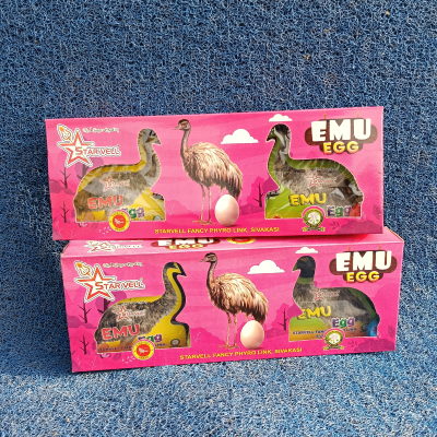 Emu Egg